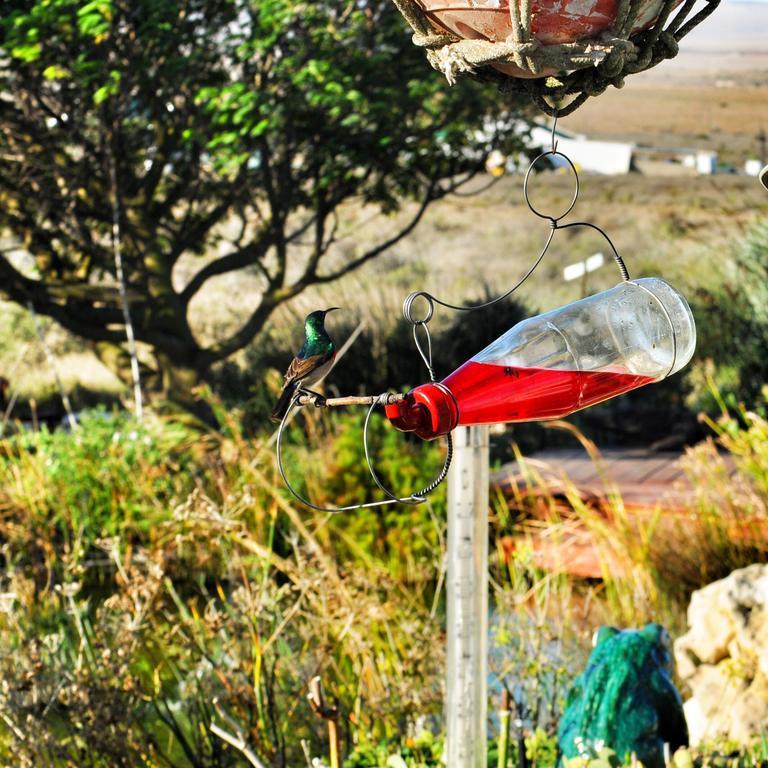 Farr Out Guest House Paternoster Zewnętrze zdjęcie