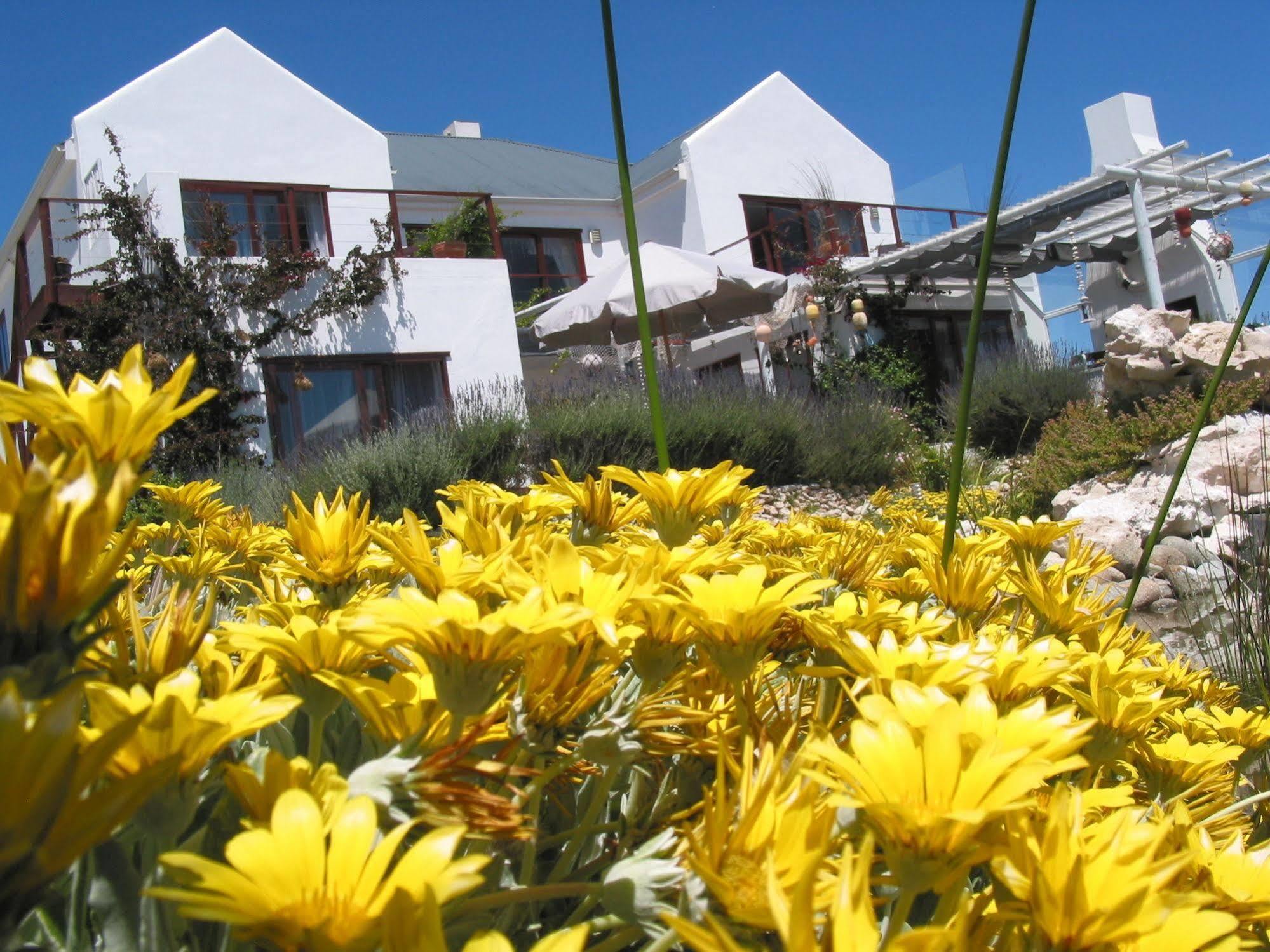 Farr Out Guest House Paternoster Zewnętrze zdjęcie